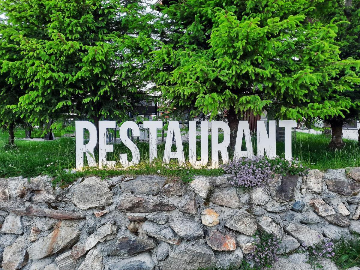 Pensiune & Restaurant Victoria Păltiniş Extérieur photo