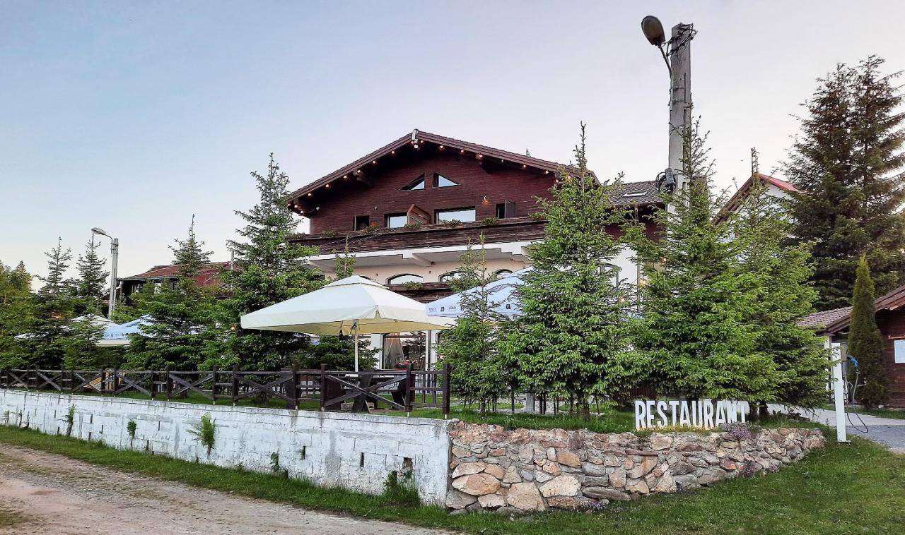Pensiune & Restaurant Victoria Păltiniş Extérieur photo